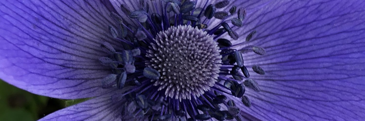 GardenerButler's profile banner image