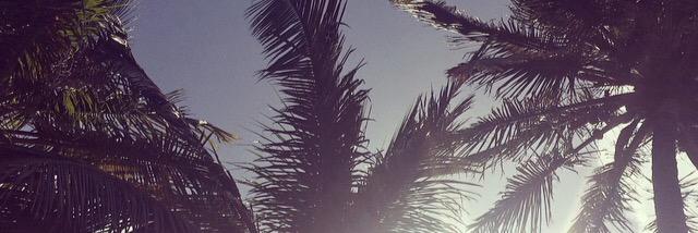 MyleneCpn's profile banner image