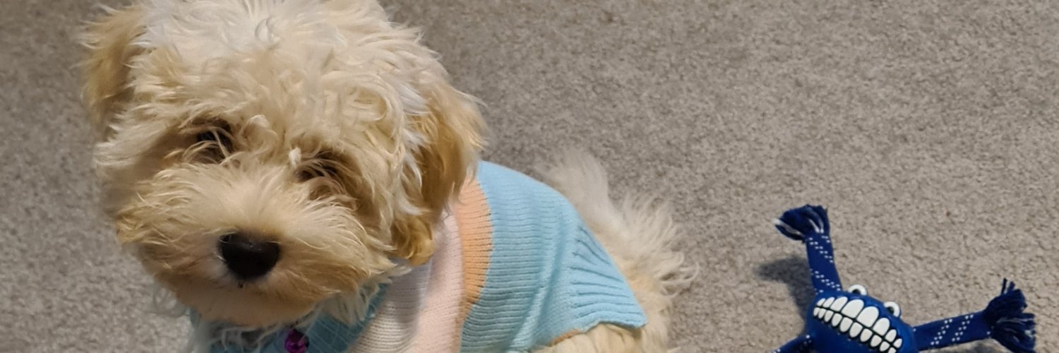 Brookefiona's profile banner image