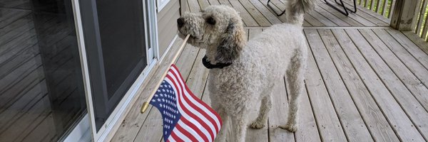 LezmanCameron Profile Banner