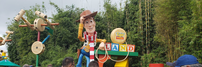 Jackson at Theme Parks banner
