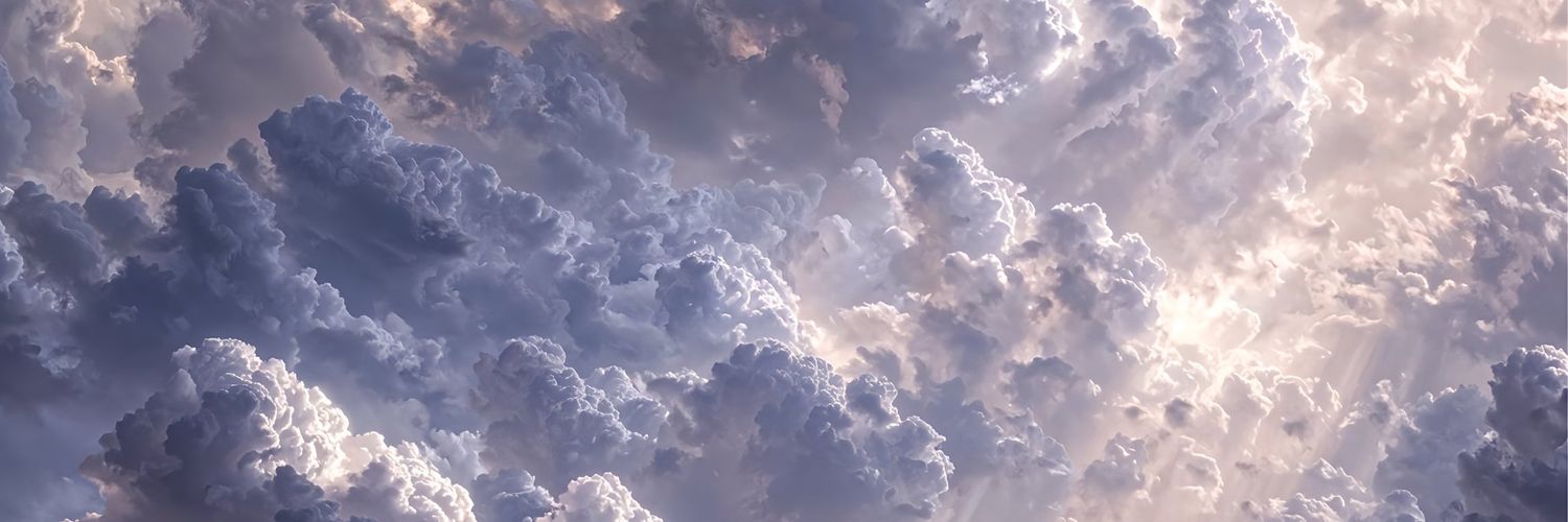mrymodb_'s profile banner image