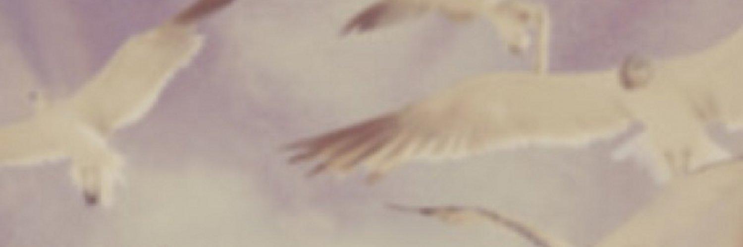 TSOfficialNews's profile banner image