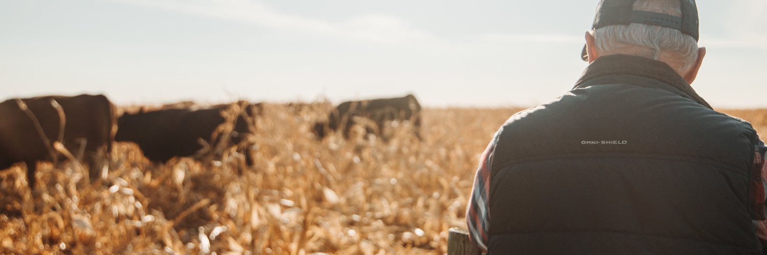 BeefSmart Consulting Inc. banner