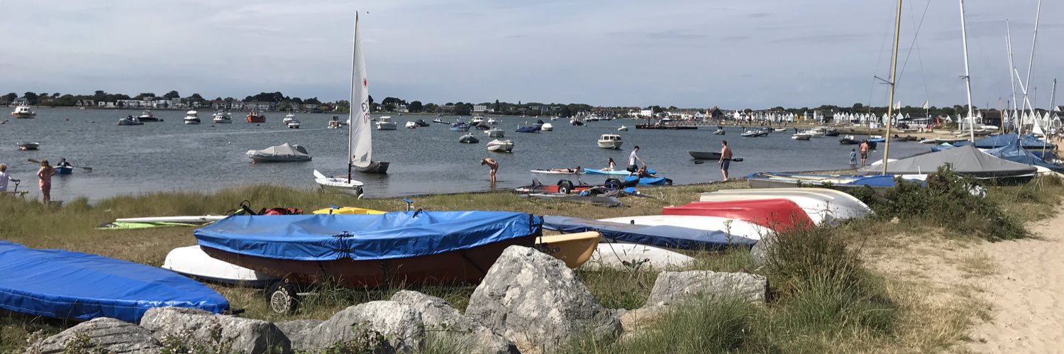 Alison Robb OBE banner