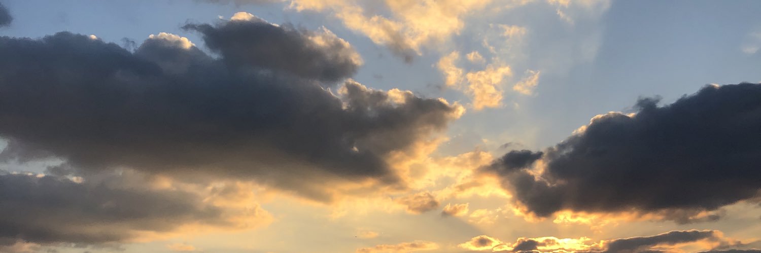 SarahKlein99's profile banner image