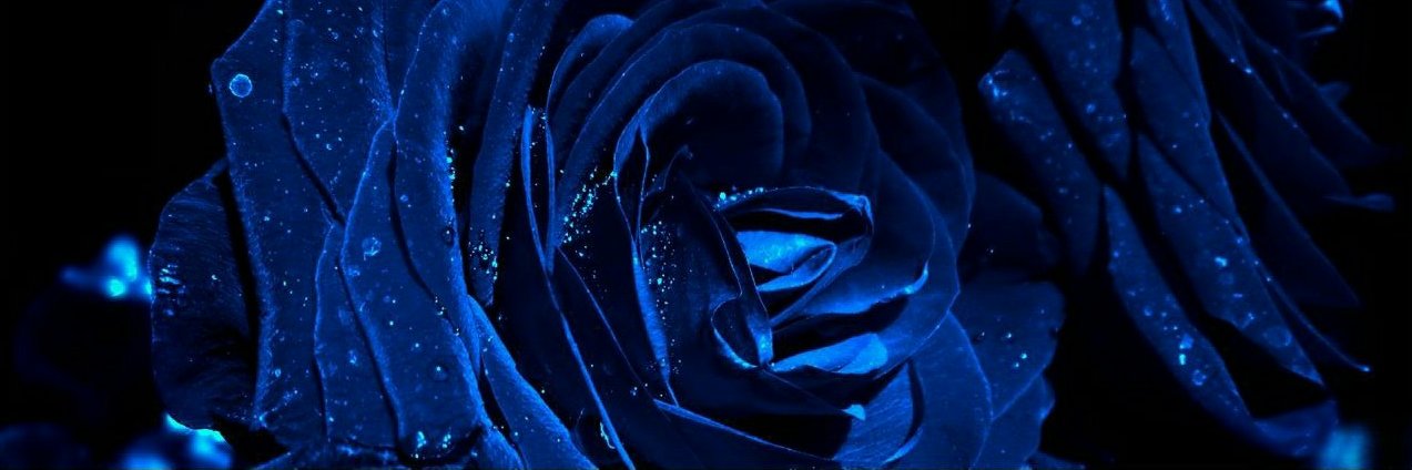 haiariani's profile banner image