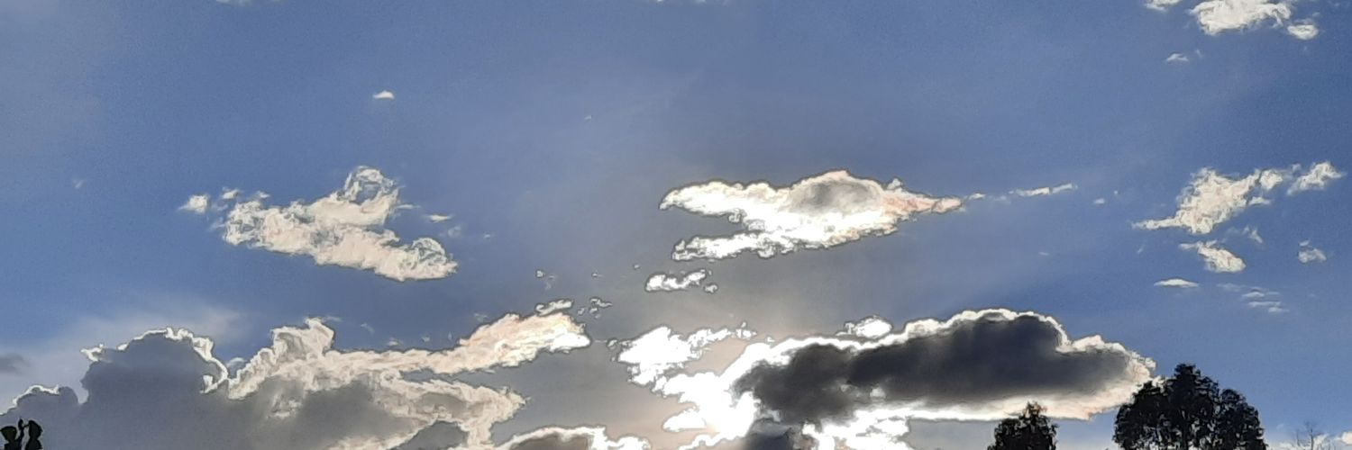 28AstridC's profile banner image