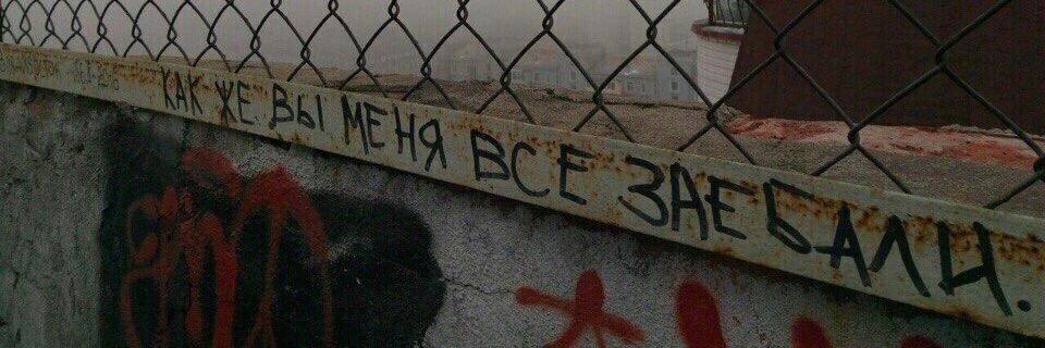 ольга ванибовна banner