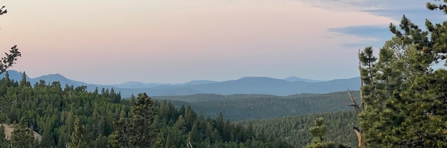 Brandon Stevens banner