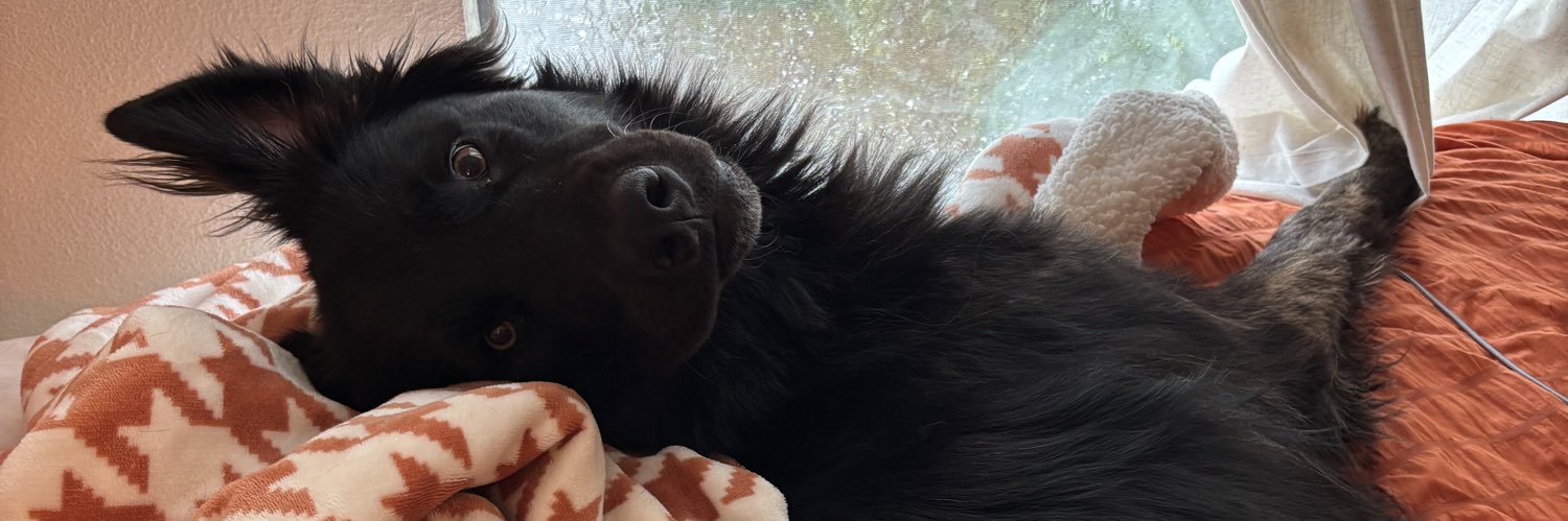 barelyylizz's profile banner image