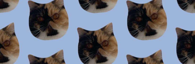 makaylasites's profile banner image