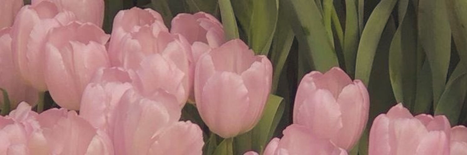 _alexislincoln_'s profile banner image