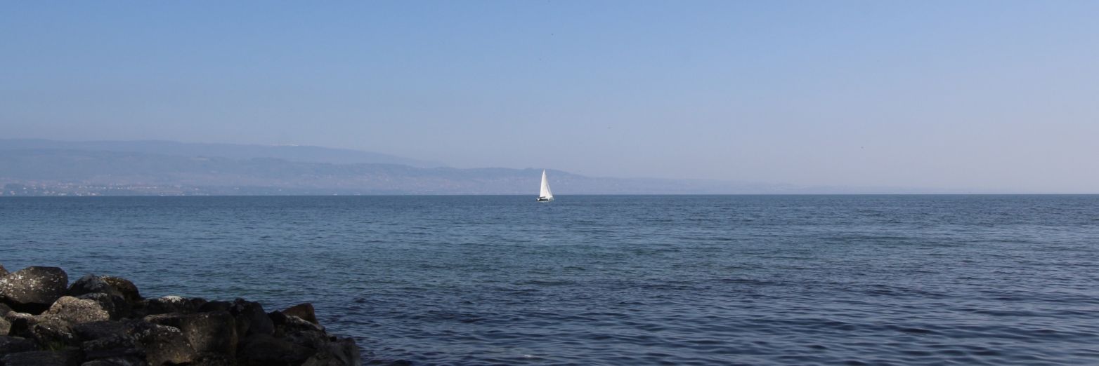 taetepote's profile banner image