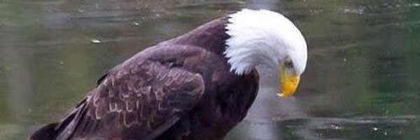 kode3911 Profile Banner