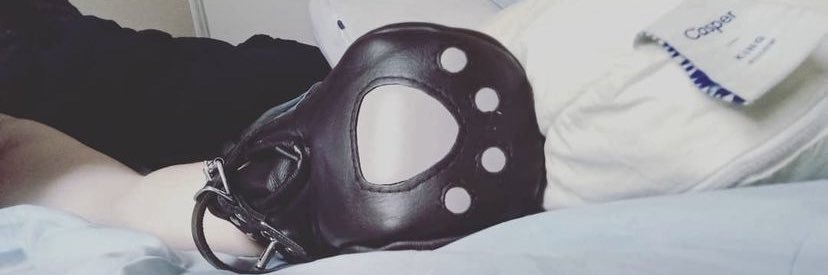 Wishbonepup's profile banner image