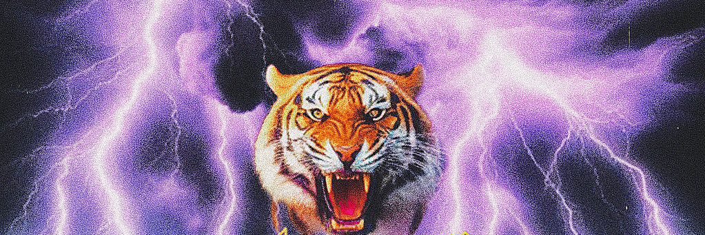 Tiger Vibes's banner