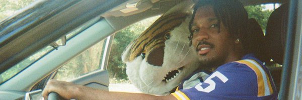 Tiger__Vibes Profile Banner