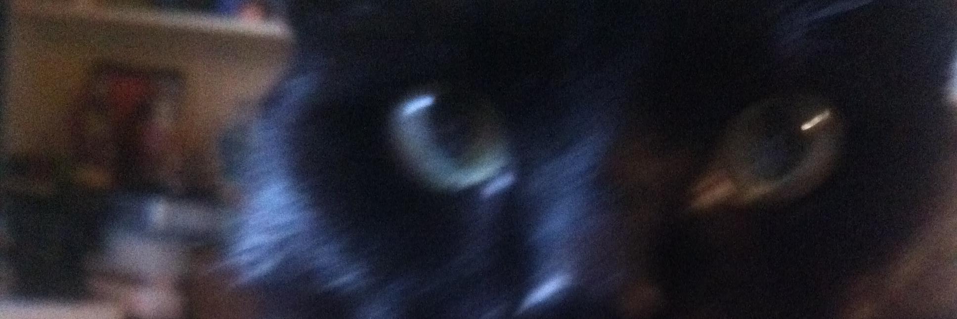 RachelYates4's profile banner image