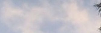 catvember's profile banner image