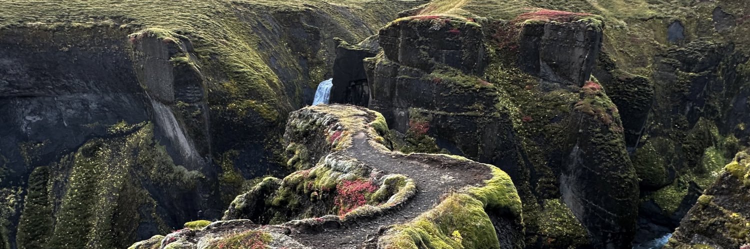 Intel Girl 🤓 banner