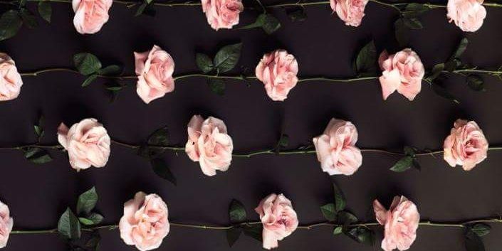 callherQueen's profile banner image