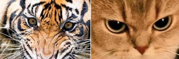 HasanKhxnx Profile Banner