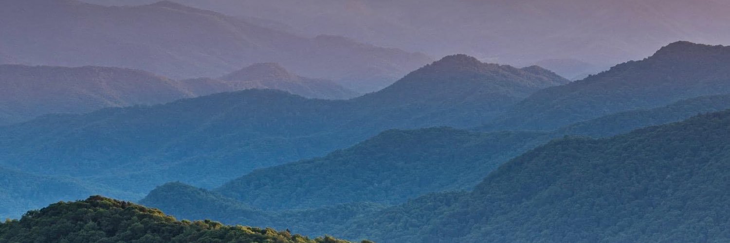 rodefer's profile banner image