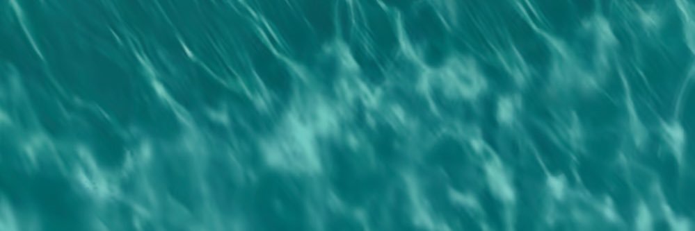 oogrdn's profile banner image