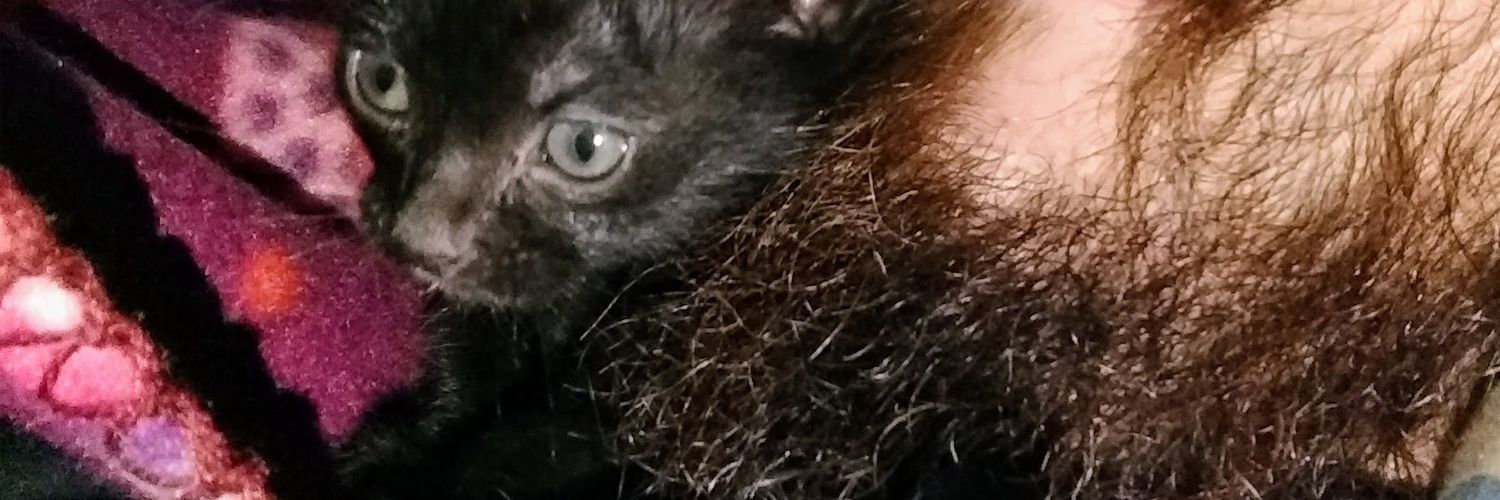 FlippyMann's profile banner image