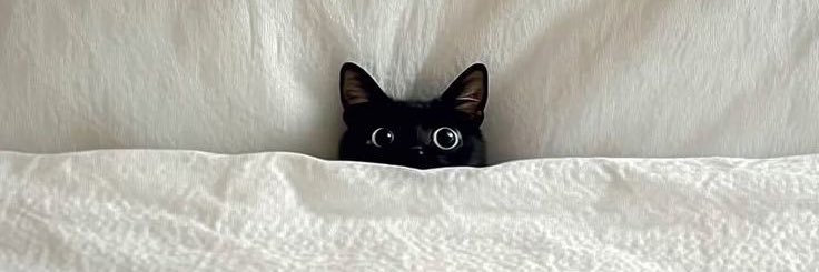 👩🏻‍🦱🌶️ banner