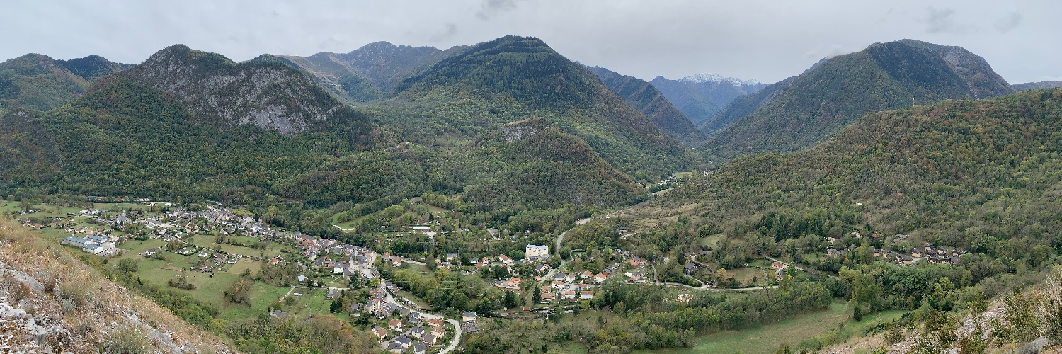 🇵🇸Determimi🇵🇸 banner