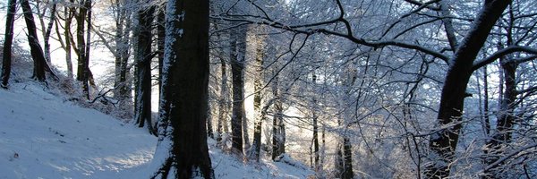 RowanSweeney_ Profile Banner