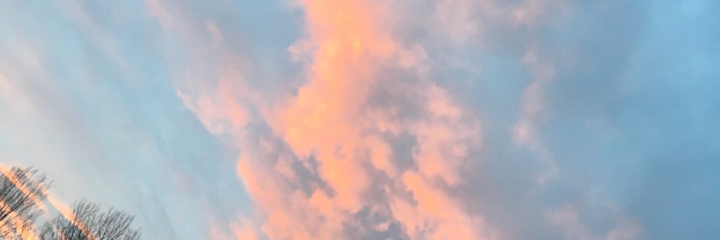 __sh4nnon's profile banner image
