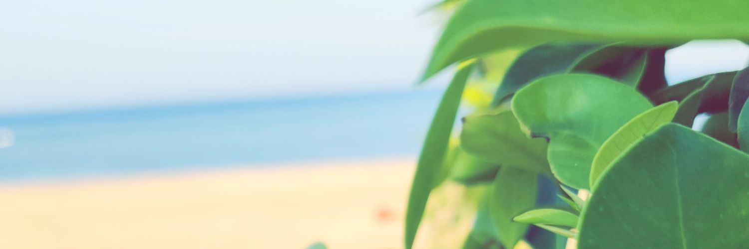 660Smile's profile banner image