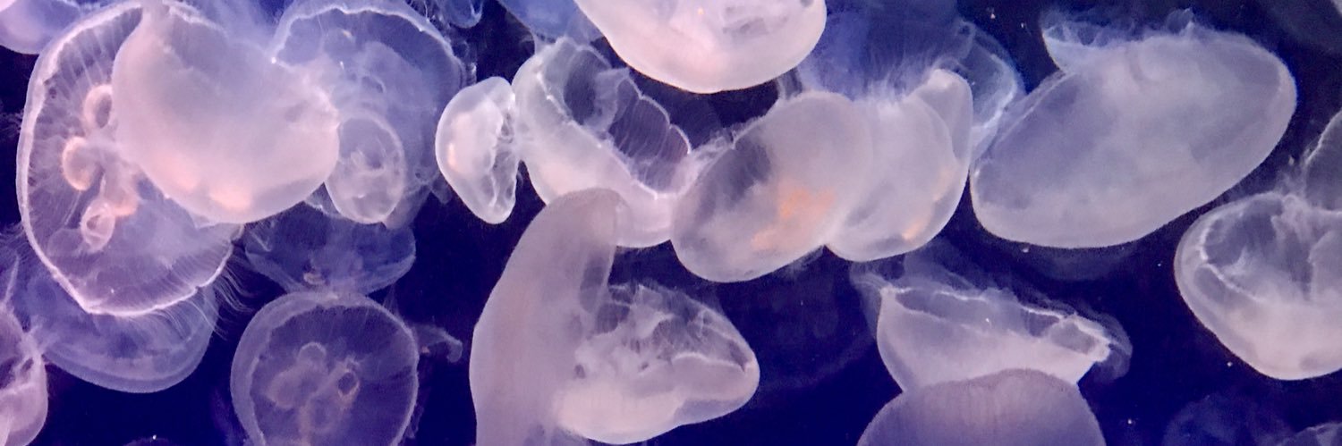alysssathompson's profile banner image