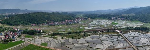 Yeahder Polcaltilly banner