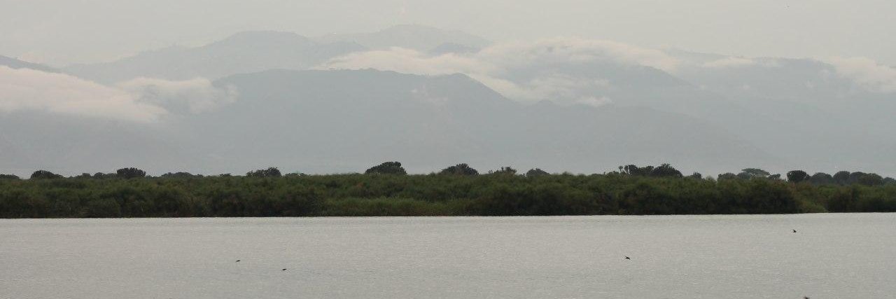 LorenaPerdignTo's profile banner image
