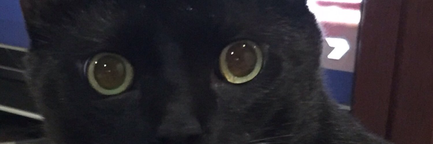 mingwaal's profile banner image