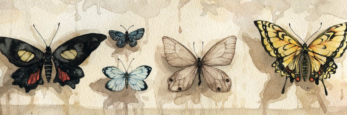 _nqrs's profile banner image