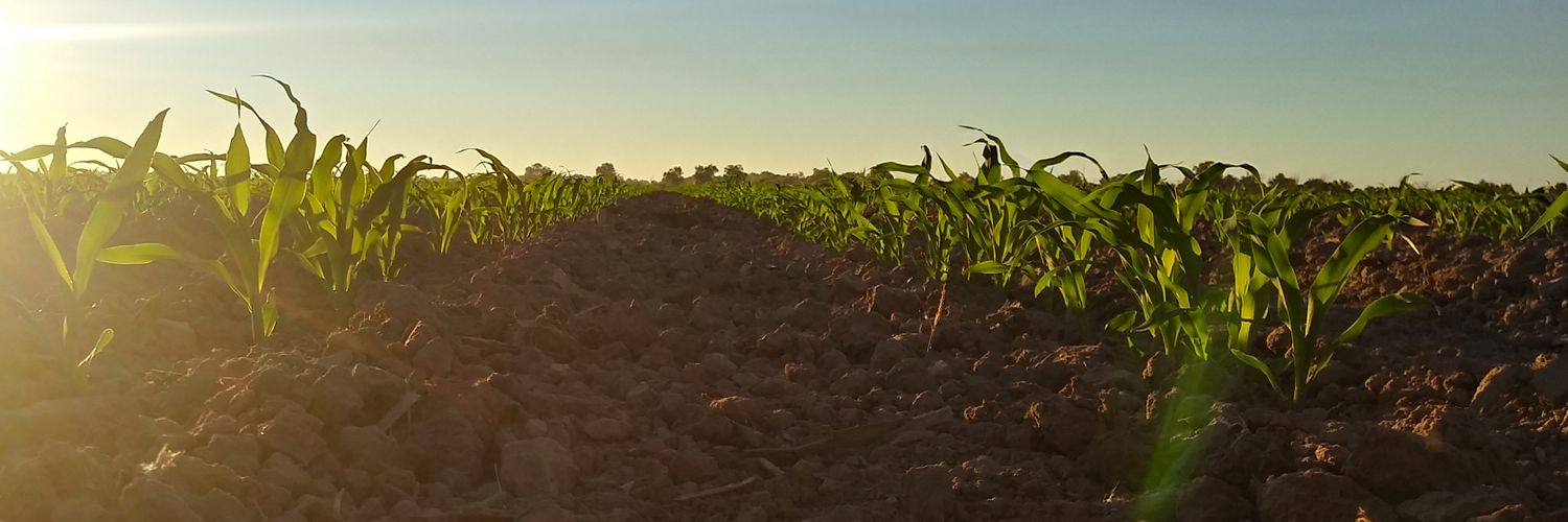 elroberto24's profile banner image