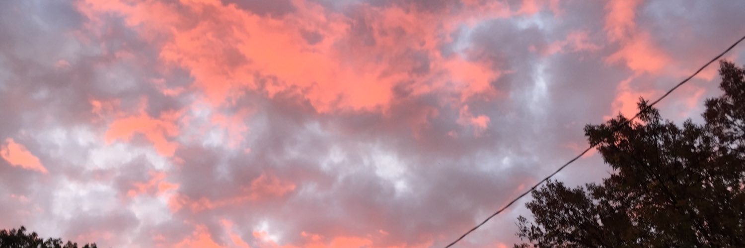 Aldiscala's profile banner image