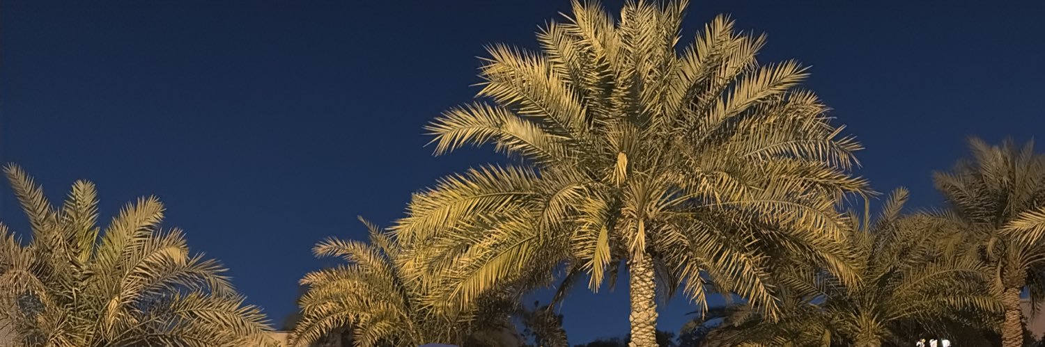 sheikhhaaa's profile banner image