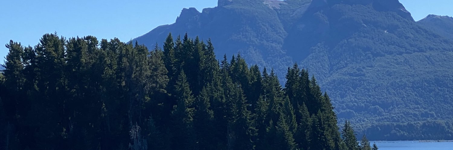 CaamiOrso's profile banner image