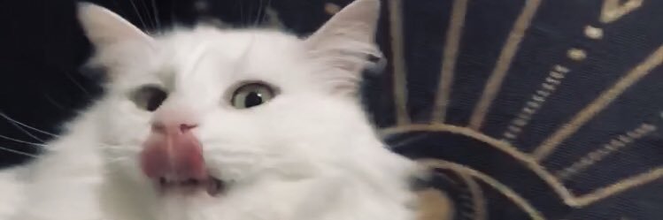 NinaBendixen's profile banner image