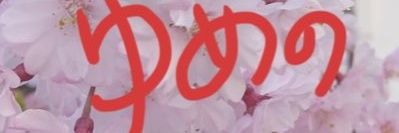 yume_ichi_str's profile banner image