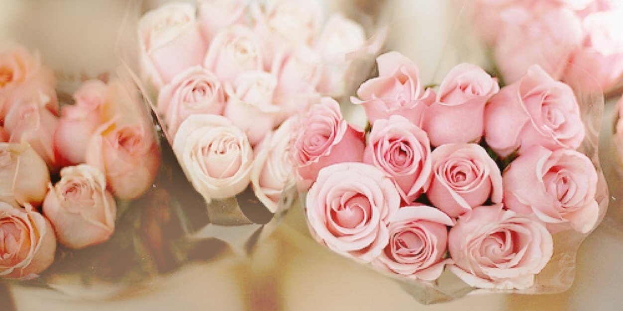 fanytif's profile banner image