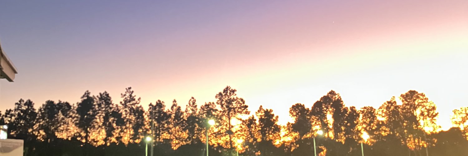 laika99dust's profile banner image