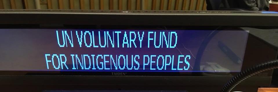 UN Voluntary Fund For Indigenous Peoples banner