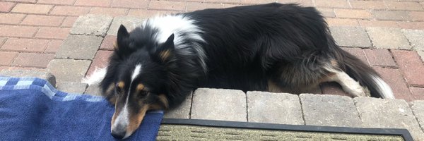 tullyme Profile Banner